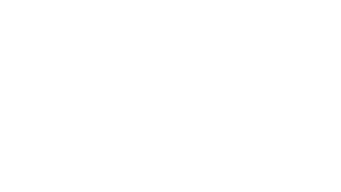 LV Real Estate Consulting